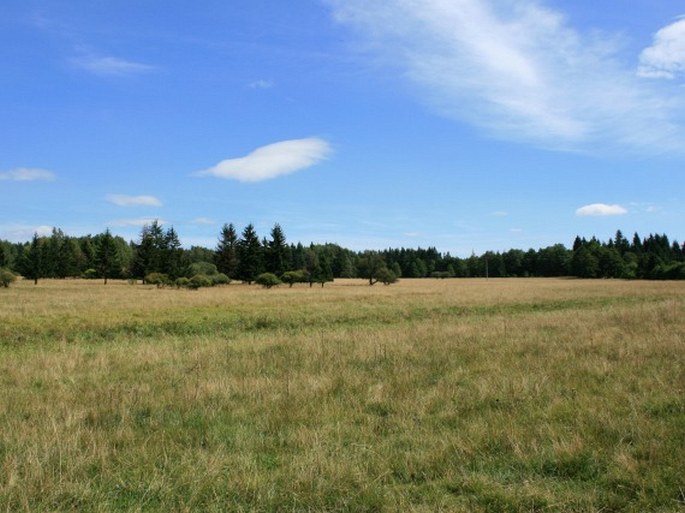 Toužimská vrchovina, Kounické louky – přírodní památka