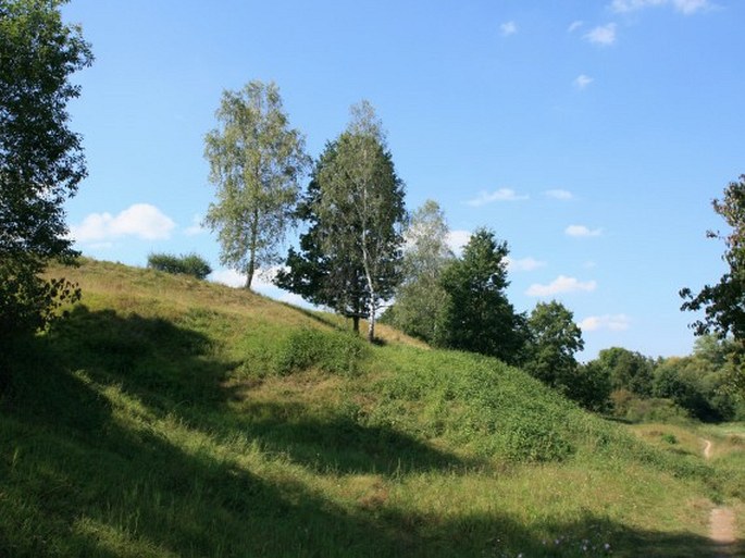 Kozlovská stráň