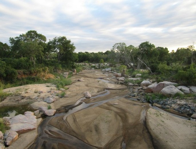 Kruger National Park