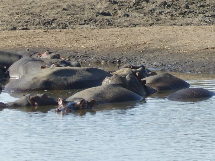 Kruger National Park