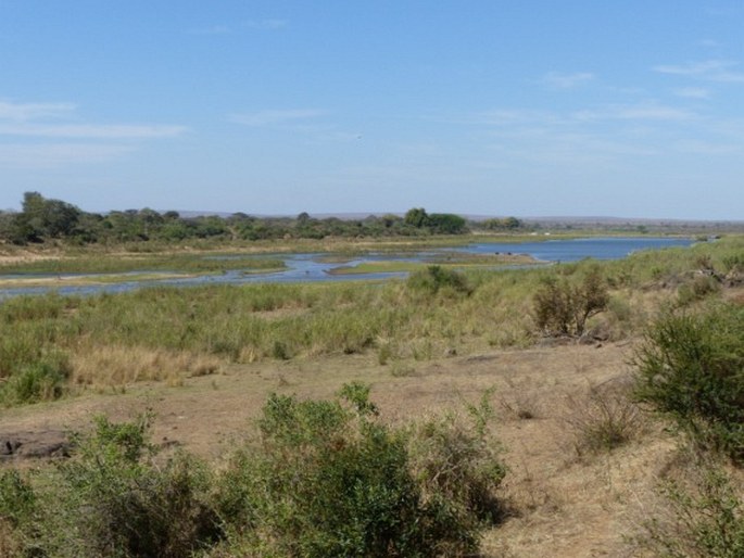 Kruger National Park