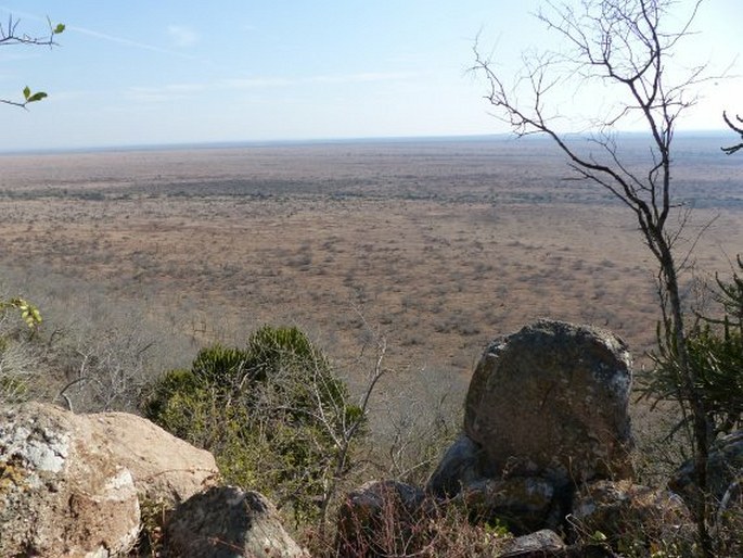 Kruger National Park