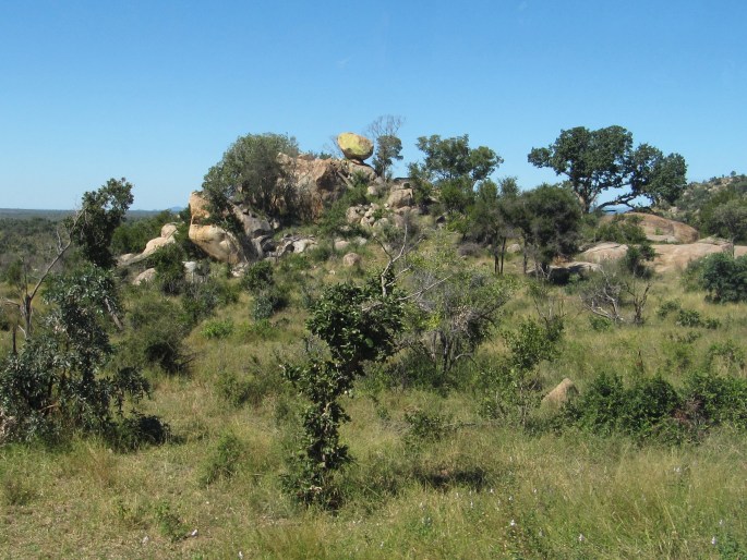 Jihoafrická republika, Kruger National Park