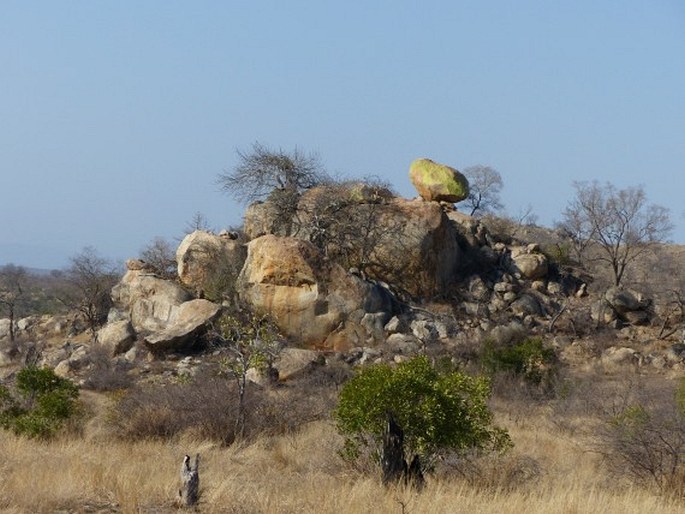 Kruger National Park