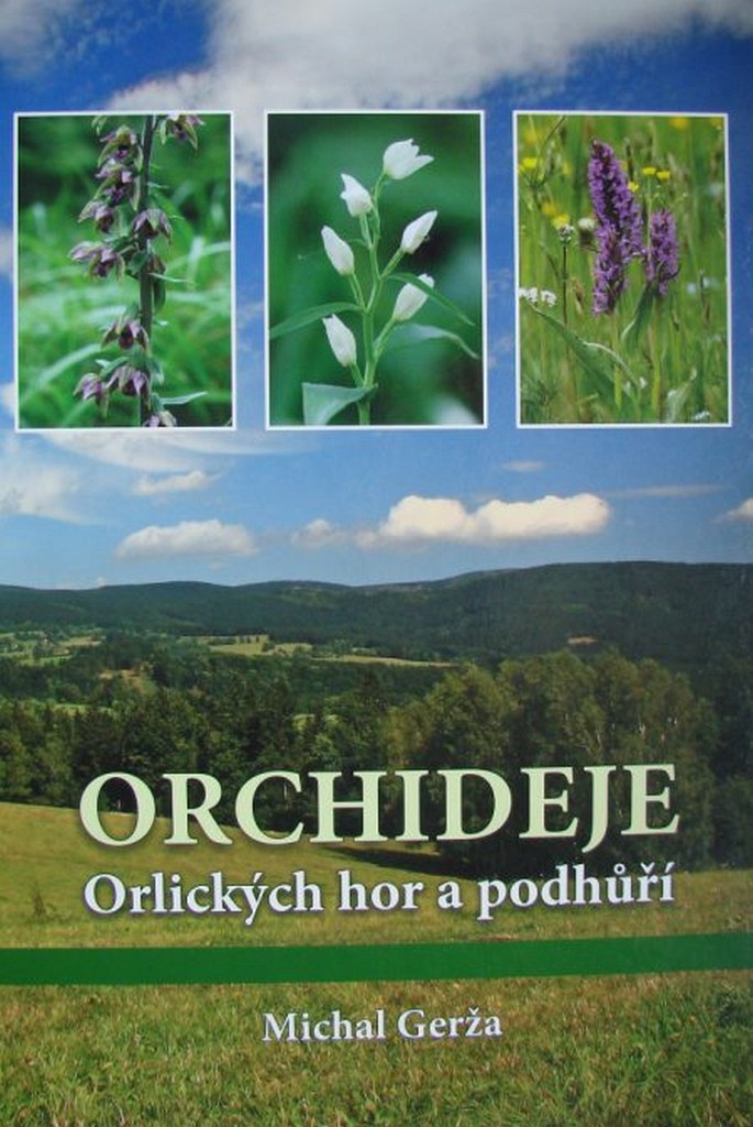 Orchideje Orlických hor a podhůří