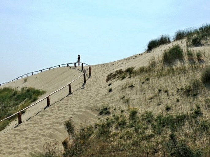 Litva, Kurská kosa