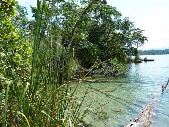 Parque Nacional Laguna Lachuá