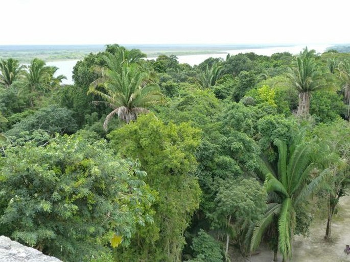 Belize, Lamanai