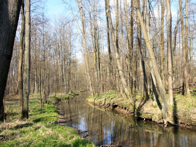 Moravská brána, okolí Libhoště