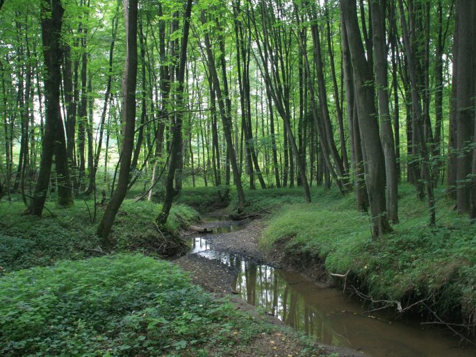 Moravská brána, okolí Libhoště