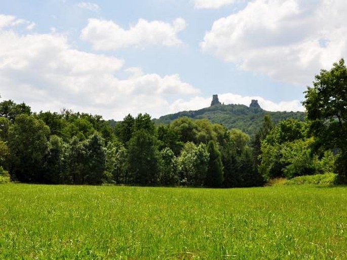 Rovenská pahorkatina: Libuňka – přírodní památka