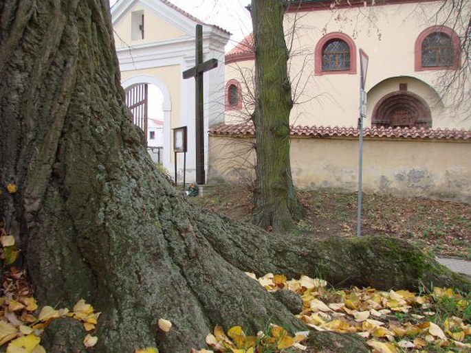 Lípa u kostela v Hrusicích