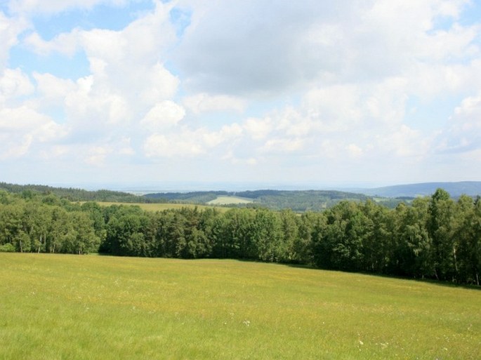 Český les, Lipovka – přírodní rezervace