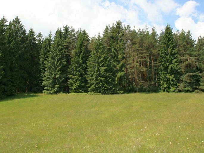 Český les, Lipovka