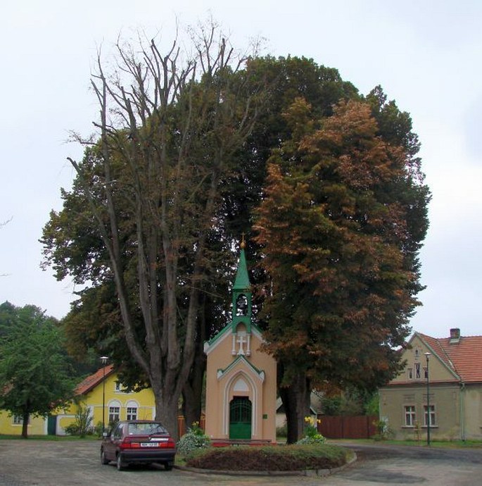 Lípy velkolisté v Byšičkách