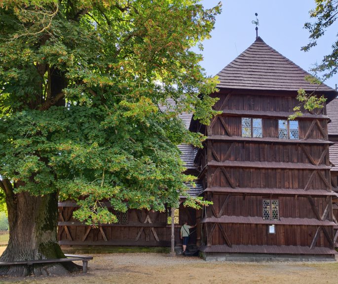 Lípy u artikulárního kostela v Hronseku, Slovensko