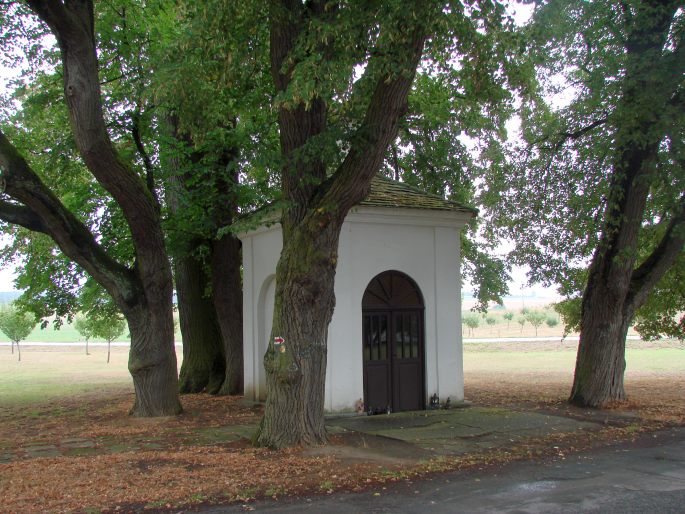 Lípy u kaple sv. Jana Křtitele ve Staré Lysé