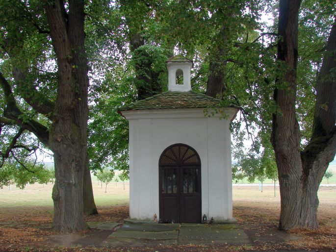 Lípy u kaple sv. Jana Křtitele ve Staré Lysé