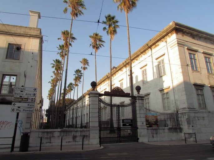 Jardim Botânico da Universidade de Lisboa