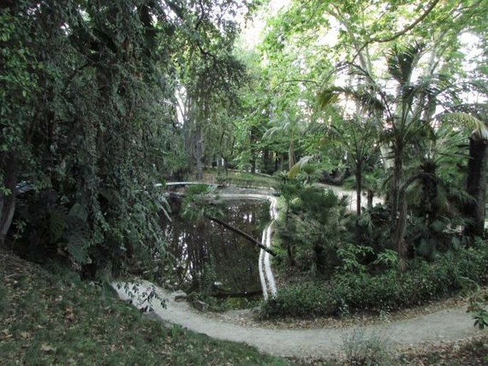 Jardim Botânico da Universidade de Lisboa