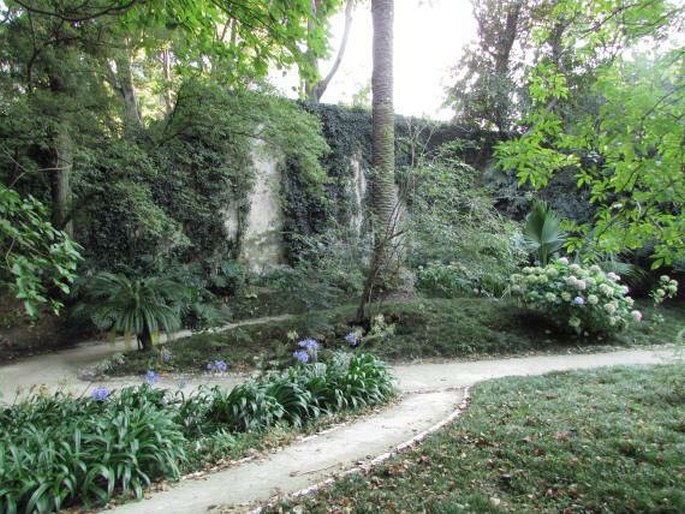 Jardim Botânico da Universidade de Lisboa