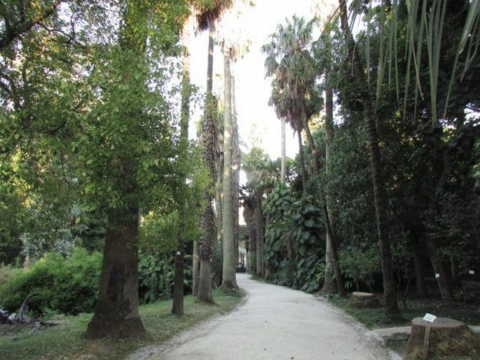 Jardim Botânico da Universidade de Lisboa