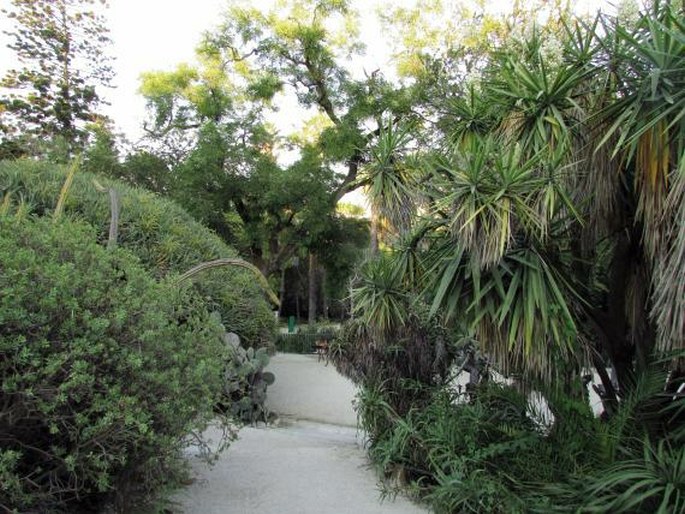 Jardim Botânico da Universidade de Lisboa