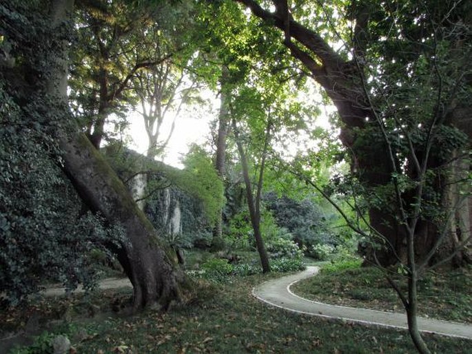 Jardim Botânico da Universidade de Lisboa