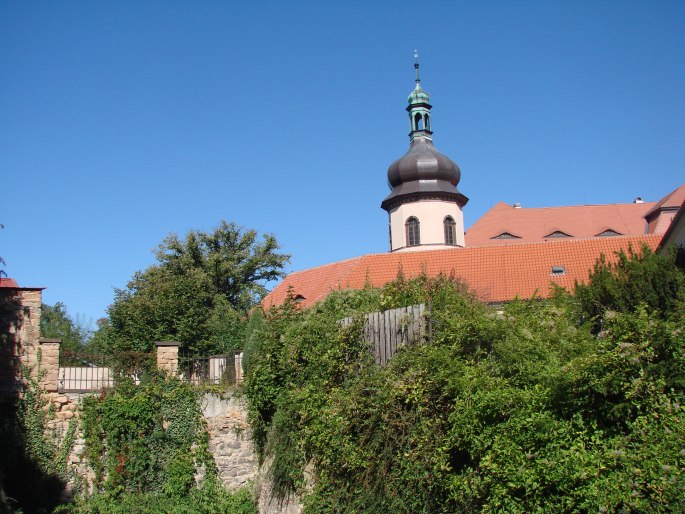 Líska turecká v  Kostelci nad Černými lesy