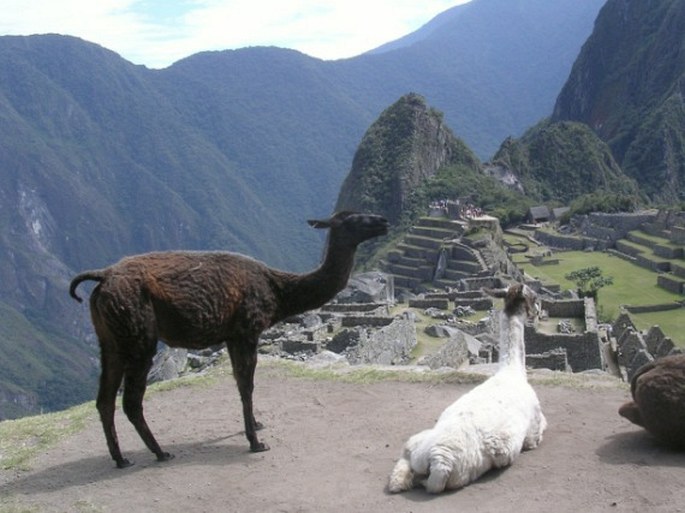 Santuario histórico de Machu Picchu