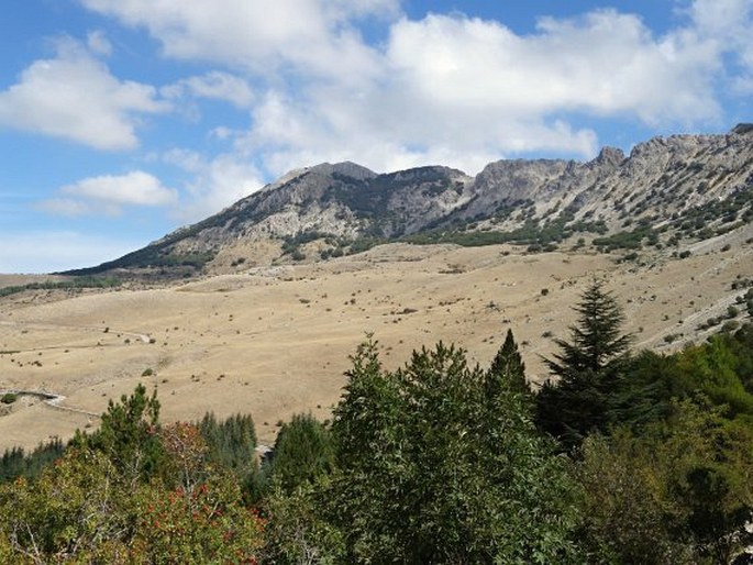 Parco naturale regionale delle Madonie