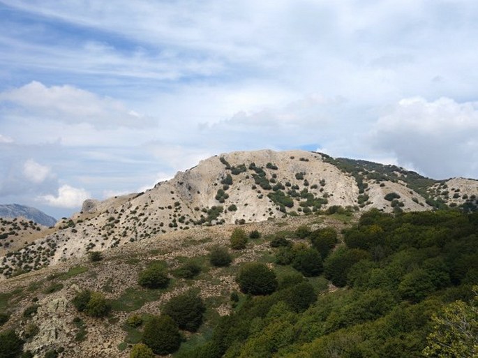 Parco naturale regionale delle Madonie