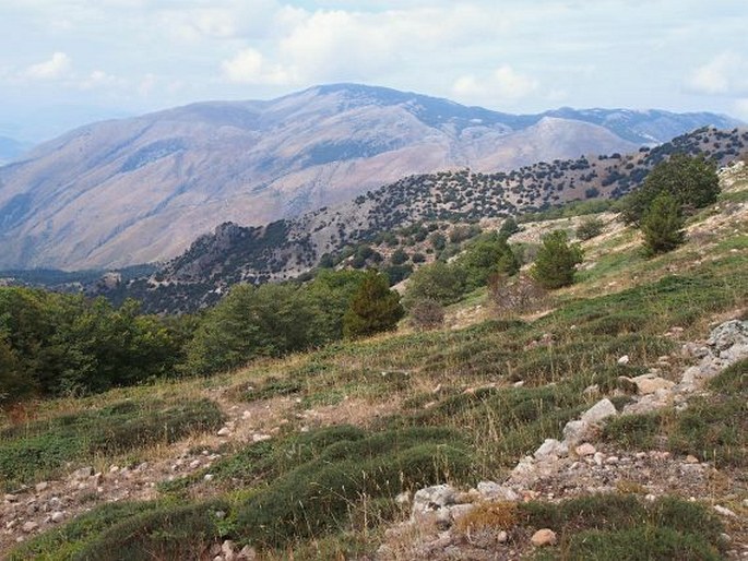 Parco naturale regionale delle Madonie