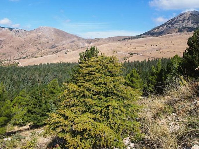 Parco naturale regionale delle Madonie