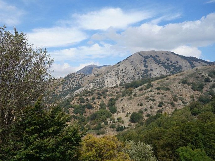 Parco naturale regionale delle Madonie