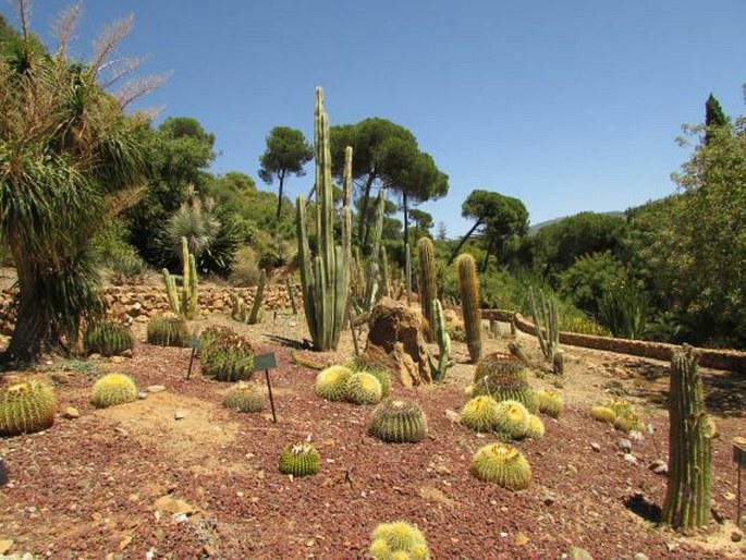 Jardin Botanico-Historico La Concepcion