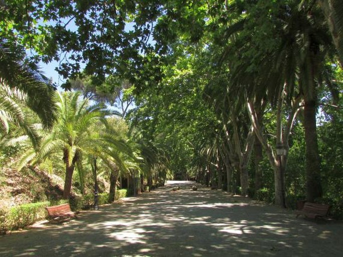 Jardin Botanico-Historico La Concepción