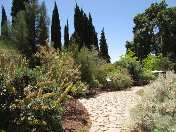 Jardin Botanico-Historico La Concepcion