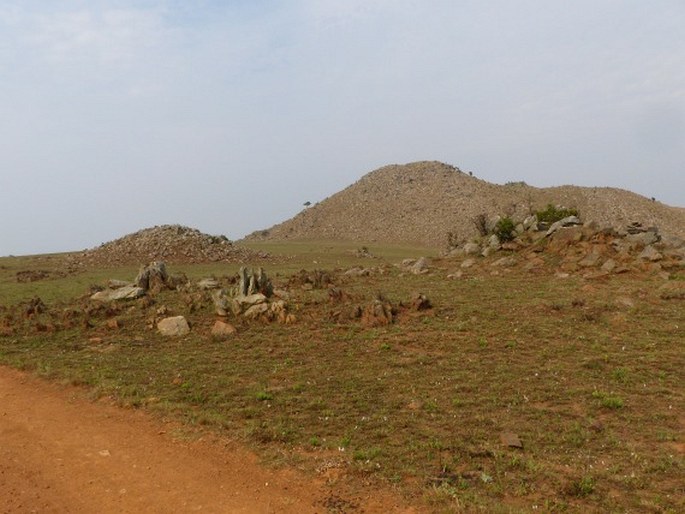 Malolotja Nature Reserve