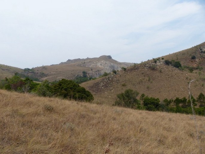 Malolotja Nature Reserve