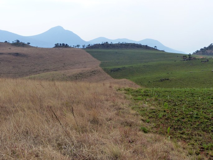 Malolotja Nature Reserve