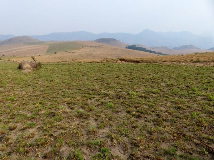 Malolotja Nature Reserve