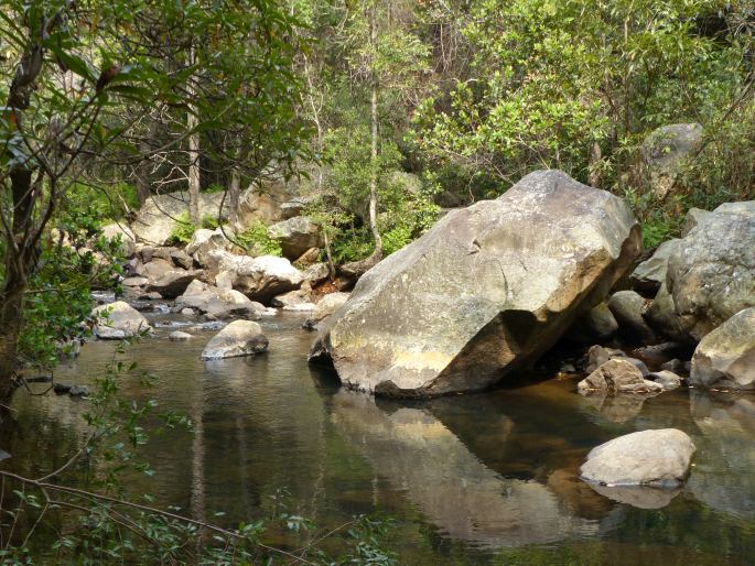 Malolotja Nature Reserve