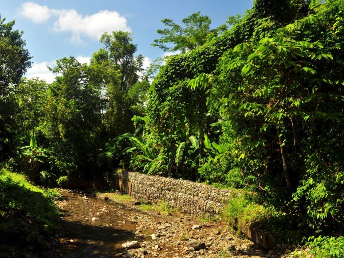 Parque Nacional Manuel Antonio