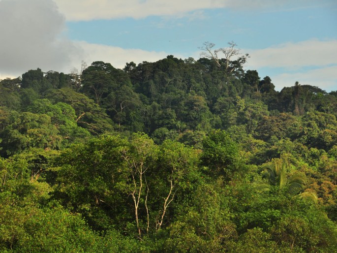 Parque Nacional Manuel Antonio