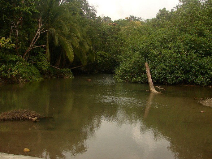 Parque Nacional Manuel Antonio