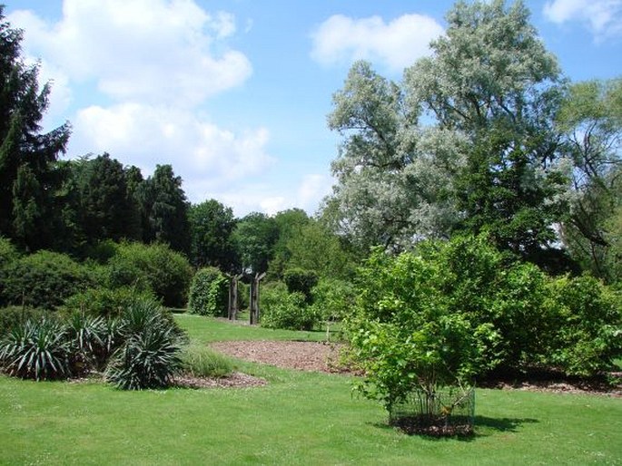 Plantentuin Meise