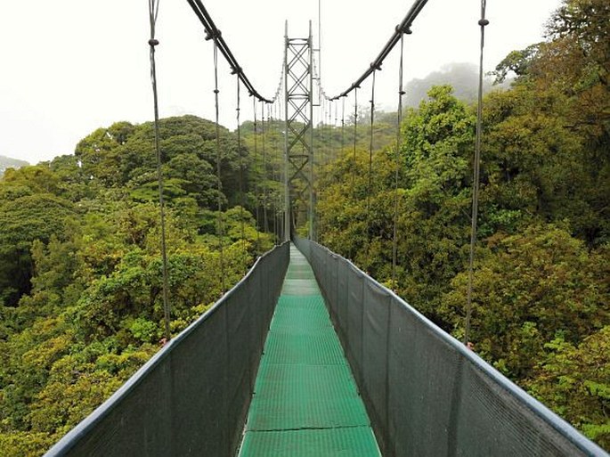 Kostarika, Monteverde