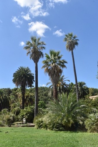 Museo Orto Botanico di Roma