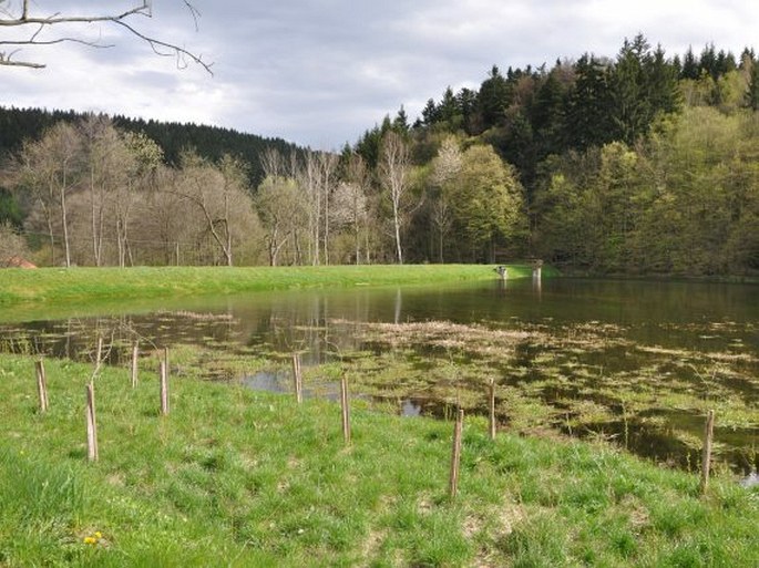 Vsetínská kotlina, Rybník Neratov – přírodní památka